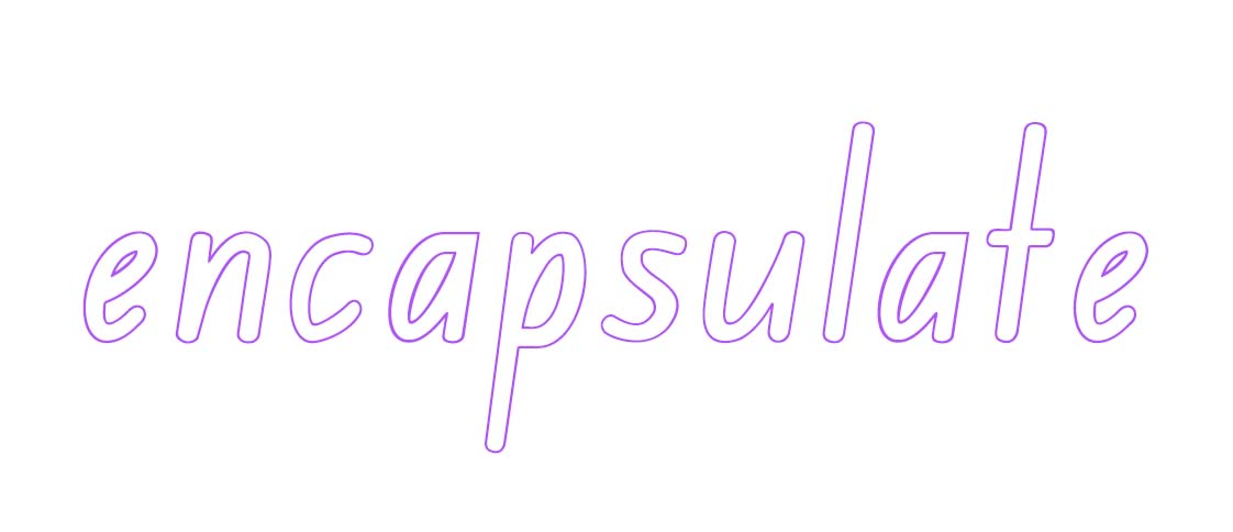 the word 'encapsulate' in  large, outline font